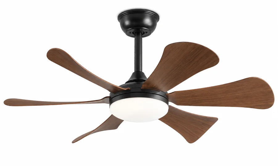 P-5053L-6 ceiling fan product image